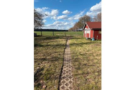 Kleingartenparzelle - 800,00&nbsp;EUR Kaltmiete, ca.&nbsp; 0,00&nbsp;m&sup2; in Walsrode (PLZ: 29664)