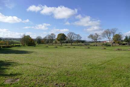 Wohnung zum Kaufen in Hellenthal 85.000,00 € 77 m²