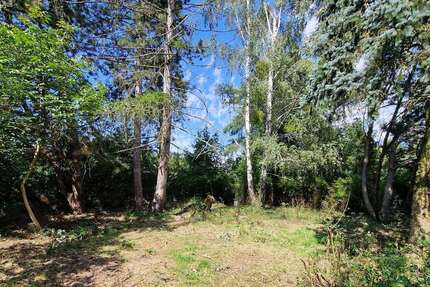 GRUNDSTÜCK - RUHIGE LAGE VON PETERSHAGENEGGERSDORF...... - Petershagen/Eggersdorf