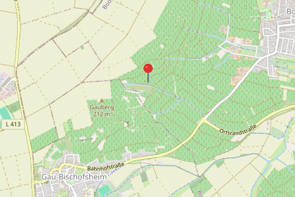 ***Sonniger Weinberg mit ca. 4.953 m² in attraktiver Lage von Bodenheim***