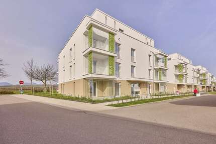Wohnung zum Kaufen in Landau 259.000,00 € 52.15 m²