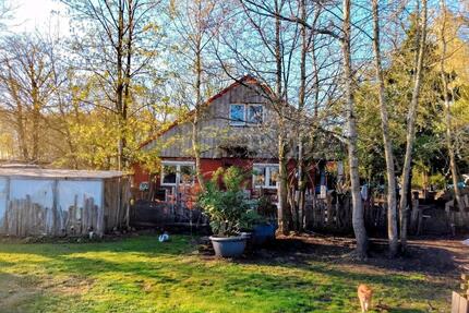 Sackgassenende, fast Alleinlage +5ha Pacht - Wiesmoor