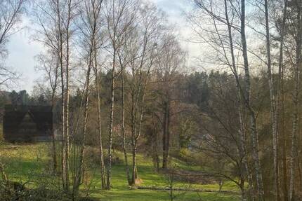 Baugrundstück 1 mit Wald und Wiesen - Flossenbürg Altenhammer