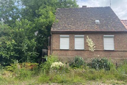 sanierungsbedürftiges Haus mit großem Grundstück - Aschersleben