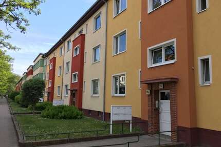 Wohnung zum Mieten in Magdeburg 290,00 € 48.14 m²