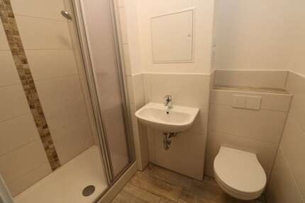Wohnung zum Mieten in Freiberg 219,00 € 24.57 m²