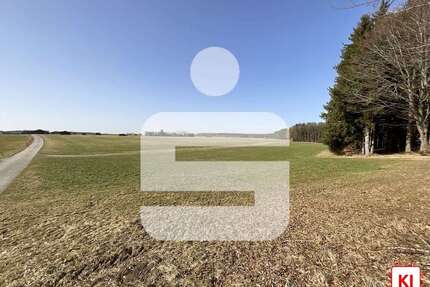 Grundstück in Kaltental 395.000,00 € 52949 m²