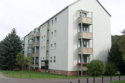 Wohnung zum Mieten in Werdau 314,00 € 48.19 m²