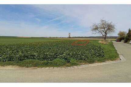 Grundstück zu verkaufen in Altdorf 375.000,00 € 383 m²