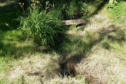 Rarität im Ortskern des heilklimatischen Kurorts Nümbrecht - idyllisches Baugrundstück mit schmalem Bachlauf als Grüne Oase mit Charakter kaufen