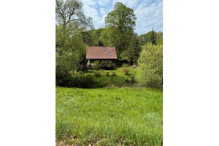 Grundstück mit Haus - 75.000,00&nbsp;EUR Kaufpreis, ca.&nbsp; 2.047,00&nbsp;m&sup2; in Wutha-Farnroda (PLZ: 99848)