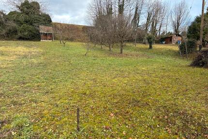 FreizeitgrundstückGartengrundstück in Kippenheim zu verpachten - Offenburg Elgersweier