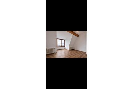 Frisch renovierte 1-Zimmer-Wohnung in Lahr – ruhig & zentral - Lahr (Schwarzwald)