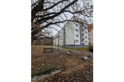 Wohnung zum Mieten in Schwerin 295,00 € 46.92 m²