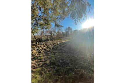 Gartengrundstück zu vermieten in Kiedrich - Oestrich-Winkel