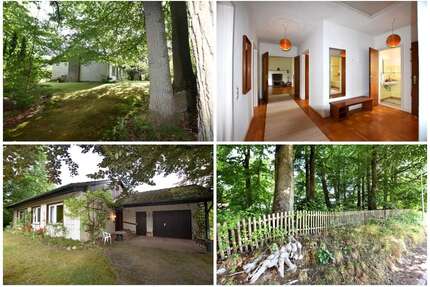 Haus zum Kaufen in Mölln Auf der Heide 289.000,00 € 96.58 m² - Mölln / Auf der Heide