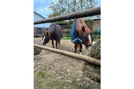 Hochwertige Landhauswohnung - 1.500,00&nbsp;EUR Kaltmiete, ca.&nbsp; 130,00&nbsp;m&sup2; in Jork (PLZ: 21635)