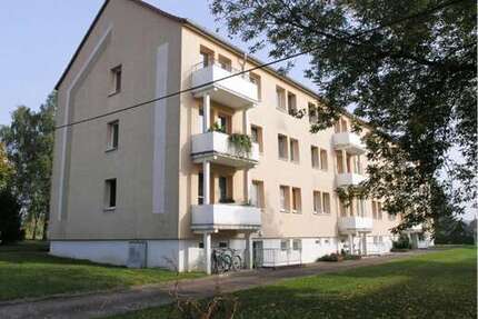 Wohnung zum Mieten in Friedrichswerth 350,00 € 47 m²