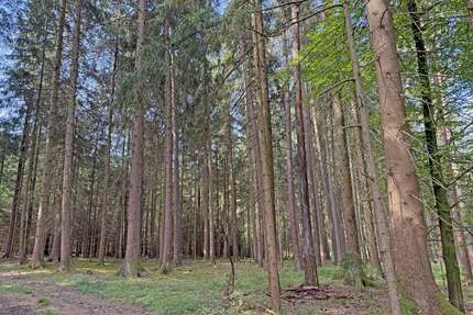 Grundstück in Beilngries 20.230,00 € 5390 m²