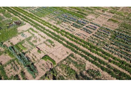 Ernte Dein eigenes Gemüse in Wannweil | Apr. - Okt. | 22-56 qm