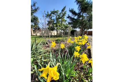 Großfamilien aufgepasst! Bezugsfertiges Mehrgenerationenhaus - Naumburg (Saale)