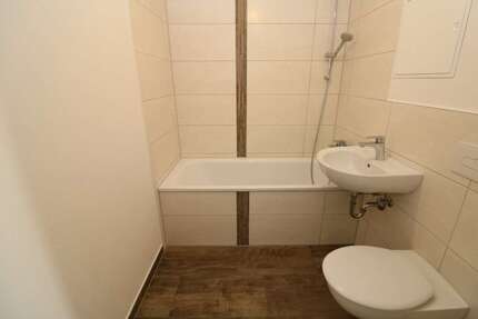 Wohnung zum Mieten in Freiberg 379,00 € 53.95 m²