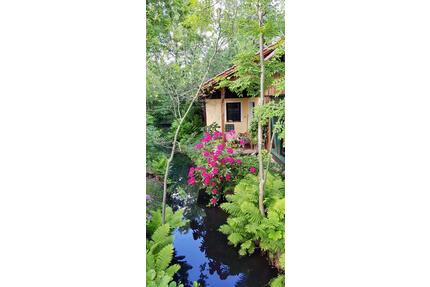 Ferienhaus-Molle Burg im Spreewald, Natur pur ! - Burg (Spreewald)