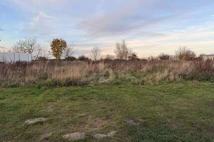 Grundstück zu verkaufen in Langenberg 330.000,00 € 1000 m²