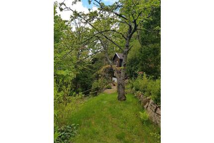 Naturrefugium am Wald – 880 m² Erholung & Freiheit - Glashütte
