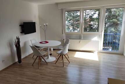 Wohnung zum Mieten in Mainz 720,00 € 37 m²