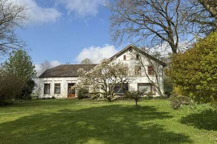 Haus zum Kaufen in Struxdorf Arup 475.000,00 € 341 m² - Struxdorf / Arup