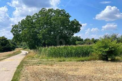 Grundstück zu verkaufen in Östringen 142.000,00 € 454 m²