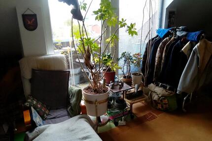 EINE DACHGESCHOSSWOHNUNG AB 01.06 ZU VERMIETEN. - Buxtehude