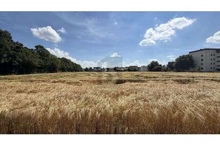 Grundstück zu verkaufen in Wabern 1.213.000,00 € 12130 m²