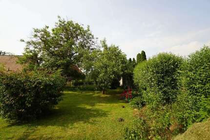 Grundstück zu verkaufen in Schkopau-Hohenweiden 95.000,00 € 743 m²