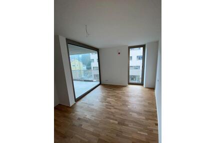Attraktive 2-Zimmer-Wohnung im Neubau – Drei-Kronen-Hof, Tuttling - Tuttlingen