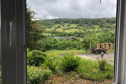 2 Zimmer Wohnung - 620,00&nbsp;EUR Kaltmiete, ca.&nbsp; 63,40&nbsp;m&sup2; in Weikersheim (PLZ: 97990)