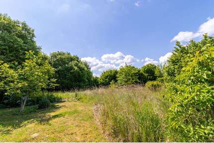 Grundstück zu verkaufen in Salzwedel 45.000,00 € 1558 m²