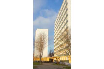 Wohnung zum Mieten in Halle 393,00 € 57.79 m²