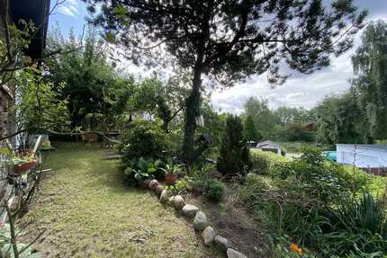 Haus zum Kaufen in Papendorf 298.700,00 € 76.3 m²