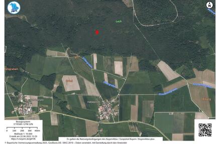 Wald, Waldgrundstück, Forstfläche - Allersberg Eismannsdorf