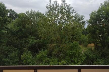 4 Zimmerwohnung mit 2 Balkonen in Ebeleben