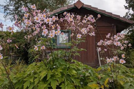 Liebevoll gepflegter Nutz- und Ziergarten in Coburg – Ablöse