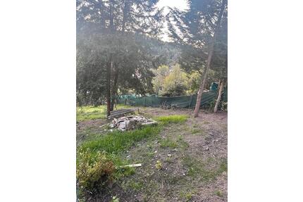 Freizeitgarten in Wiesbaden-Frauenstein zu verpachten