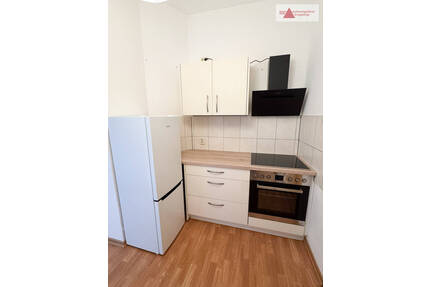 Gemütliche 2-Raum-Wohnung mit neuer Einbauküche - Aue-Bad Schlema