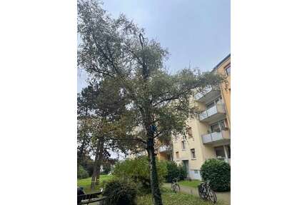 Wohnung zum Mieten in Ludwigshafen am Rhein 920,00 € 83 m²