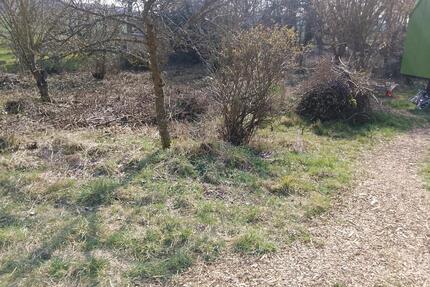 Garten 2er WG Tinyhaus Stellplatz Strom Bad Abstellraum 900qm - Hallgarten