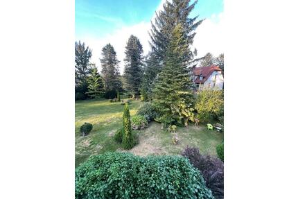 Wohnung mit Garten - 800,00&nbsp;EUR Kaltmiete, ca.&nbsp; 105,00&nbsp;m&sup2; in Bad Bevensen (PLZ: 29549)