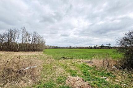 AUKTION: 1,8 ha Grün-, Unland und Verkehrsflächen - Hoyerswerda