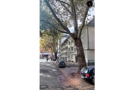 Gemütliche Dachgeschosswohnung in zentraler Lage - Duisburg